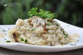 Risotto funghi porcini e garna