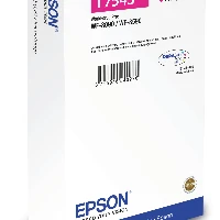 T754340 CARTUCCIA MAGEN.XXL WF8000