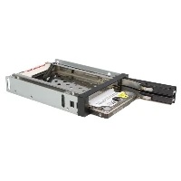 StarTech.com 2 Drive 2.5in Trayless Hot Swap SATA Mobile Rack Backplane, 8.89 cm (3.5