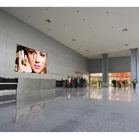 Peerless DS-VW795-QR, 102 kg, 165.1 cm (65