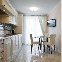 Peerless PP730, 25.4 cm (10