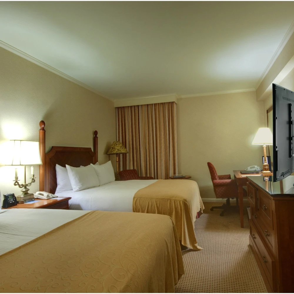 <!--articolo.descrizione_articolo-->