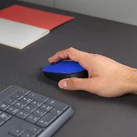 Logitech M171 Wireless Mouse, Ambidextrous, Optical, RF Wireless, 1000 DPI, Blue