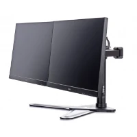 iiyama DS1002D-B1, 10 kg, 25.4 cm (10