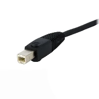 StarTech.com KVM Cable for DVI and USB KVM Switches with Audio & Microphone - 6ft, 1.8 m, USB, USB, DVI-D, Black, 1 x DVI-D, 1 x USB A, 2 x 3.5 mm