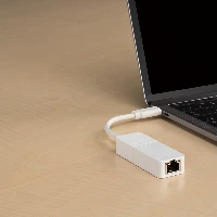 D-Link USB-C to Gigabit Ethernet Adapter  DUB-E130, Wired, USB Type-C, Ethernet, 1000 Mbit/s, White
