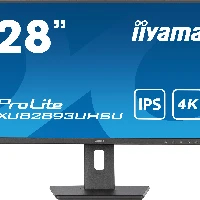 IIYAMA 28