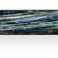 Sony FWD-77A95L, 195.6 cm (77