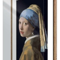 NETGEAR MCAP321, Frame cover, Transparent, 54.6 cm (21.5