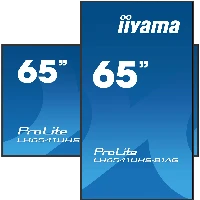 iiyama LH6541UHS-B1AG, 163.8 cm (64.5