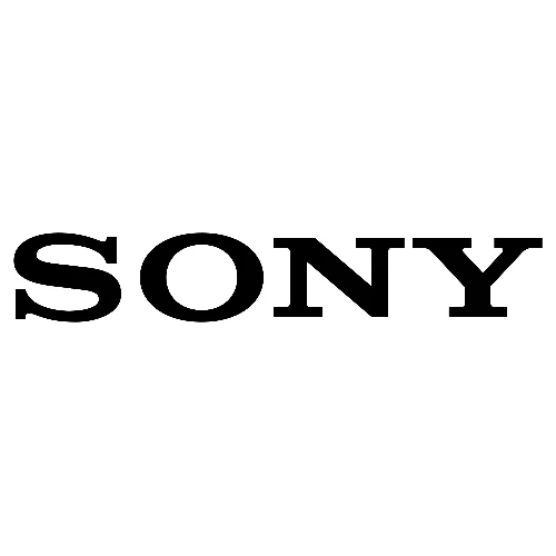 Sony RDM.CM.1, 1 license(s), 1 year(s), 12 month(s), License