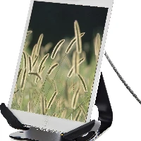 StarTech.com Secure Tablet Stand w/ K-Slot Cable Lock - Locking Tablet Holder for 7.9
