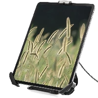 StarTech.com Secure Tablet Stand w/ K-Slot Cable Lock - Locking Tablet Holder for 7.9