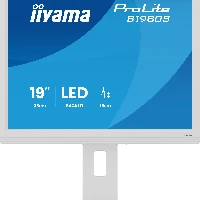 iiyama ProLite B1980S-W1, 48.3 cm (19