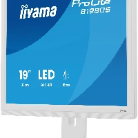 iiyama ProLite B1980S-W1, 48.3 cm (19