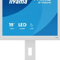 iiyama ProLite B1980S-W1, 48.3 cm (19