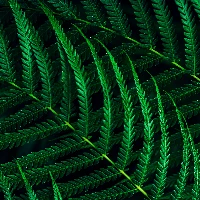 Philips 5000 series 24B2G5301/00, 60.5 cm (23.8