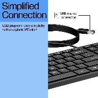 HP 320K Wired Keyboard, Full-size (100%), Wired, USB, Membrane, Black