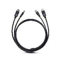 StarTech.com 6ft (1.8m) DisplayPort and USB 5Gbps KVM Cable, 4K 60Hz, Universally Compatible DP 1.2/USB 3.0 Combo Cable for KVM Switches, 1.8 m, USB, USB, DisplayPort, Black, DisplayPort + USB 3.2 Gen 1 Type-A