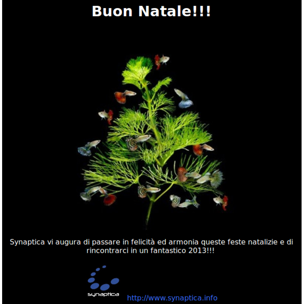 auguri_synaptica