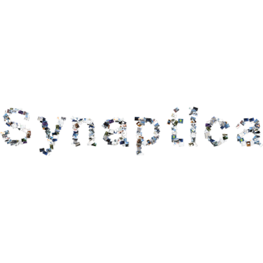 Synaptica - Shape collage - click for high resolution