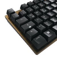 CHERRY KC 200 MX, Full-size (100%), Wired, USB, Mechanical, QWERTY, Black, Bronze
