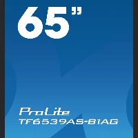 iiyama TF6539AS-B1AG, 163.8 cm (64.5