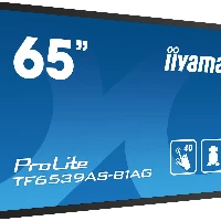 iiyama TF6539AS-B1AG, 163.8 cm (64.5