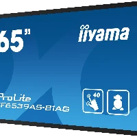 iiyama TF6539AS-B1AG, 163.8 cm (64.5