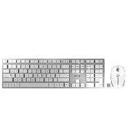 CHERRY DW 9100 SLIM, Wireless, RF Wireless + Bluetooth, QWERTY, Silver, Mouse included