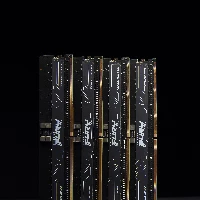 Kingston Technology FURY 256GB 6400MT/s DDR5 ECC Reg CL32 DIMM (Kit of 8) Renegade Pro XMP, 256 GB, 8 x 32 GB, DDR5, 288-pin DIMM, Black