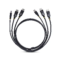 StarTech.com 6ft (1.8m) Dual-DisplayPort and USB 5Gbps KVM Cable, 4K 60Hz, Universally Compatible DP 1.2/USB 3.0 Combo Cable for Dual-Monitor KVM Switches, 1.8 m, USB, USB, DisplayPort, Black, 2 x DisplayPort + USB 3.2 Type-A