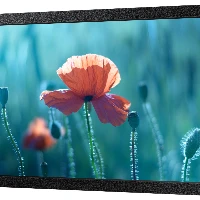 Samsung QB13C, 33 cm (13