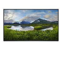 DELL P Series P2425H_WOST, 61 cm (24