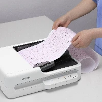 Epson WorkForce DS-1730, 215.9 x 297 mm, 1200 x 1200 DPI, 30 bit, 24 bit, 10 bit, 8 bit