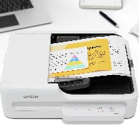 Epson WorkForce DS-1730, 215.9 x 297 mm, 1200 x 1200 DPI, 30 bit, 24 bit, 10 bit, 8 bit