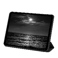 dbramante1928 Avenida ICON - iPad Pro 13