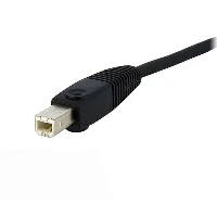 StarTech.com Cavo KVM switch DVI-D Dual Link USB 4 in 1 con audio e microfono 3,5 m (DVID4N1USB10) - Cavi tastiera / video / mouse / audio - USB, mini-phone stereo 3.5 mm, DVI-D (M) a mini-phone stereo 3.5 mm, USB Tipo B, DVI-D (M) - 3 m - nero - per P/N