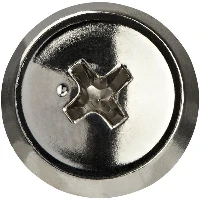 StarTech.com 12-24 Server Rack Screws - 50 pack - Nickel-Plated, Screw, Steel, Dome head, Silver, RoHS, REACH, 16.5 mm