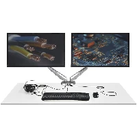 StarTech.com Desk Mount Dual Monitor Arm with USB & Audio - Desk Clamp VESA Mount for up to 32 inch Displays - 2x USB, 2x 3.5mm audio - Ergonomic Full Motion Dual Monitor Arm - Silver, Clamp, 16 kg, 38.1 cm (15