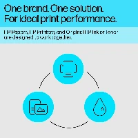 HP Advanced - Lucido - 10,5 mil - 102 x 305 mm - 250 g/m - 65 libbre - 10 fogli carta fotografica - per ENVY Inspire 7920e