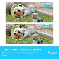 Tapo C400S2 V1 - 2 x telecamere Tapo C400 + Hub Tapo H200 - telecamera di sorveglianza connessa in rete - per esterno, interno - resistente alla polvere / resistente all'acqua - colore (Giorno e notte) - 1920 x 1080 - 1080p - focale fisso - audio - wirele