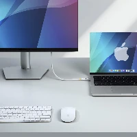 StarTech.com 50cm (1.6ft) USB4 Cable, 80Gbps, USB-IF Certified USB-C Cable, 240W PD, 8K 120Hz/4K 240Hz DP2.1 DP80, TPE Jacket, Thunderbolt 4 Compatible - White USB-C Cord, 0.5 m, USB C, USB C, USB4 Gen 4x2, 80 Gbit/s, White