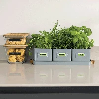 ETICHETTATRICE ELETTRONICA PTN20QL1