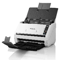 Epson WorkForce DS-530III, 215.9 x 6096 mm, 600 x 600 DPI, 30 bit, 24 bit, 8 bit, 40 ppm
