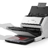 Epson WorkForce DS-530III, 215.9 x 6096 mm, 600 x 600 DPI, 30 bit, 24 bit, 8 bit, 40 ppm