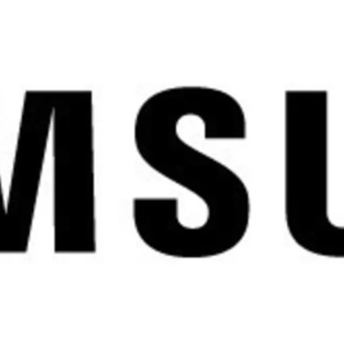 Samsung VXT RM Pro License, 1 Year, 1 license(s), Commercial, 1 year(s), Subscription