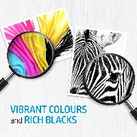 HP 338 Black Original Ink Cartridge, Standard Yield, Dye-based ink, Pigment-based ink, 480 pages, 1 pc(s)