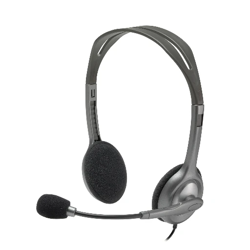 Logitech H110 headset, Wired, Office/Call center, 20 - 20000 Hz, 74 g, Headset, Black, Silver