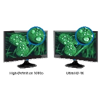 StarTech.com USB 3.0 to HDMI Adapter - 4K 30Hz Ultra HD - DisplayLink Certified - USB Type-A to HDMI Display Adapter Converter for Monitor - External Video & Graphics Card - Mac & Windows, 3.2 Gen 1 (3.1 Gen 1), USB Type-A, HDMI output, 3840 x 2160 pixels